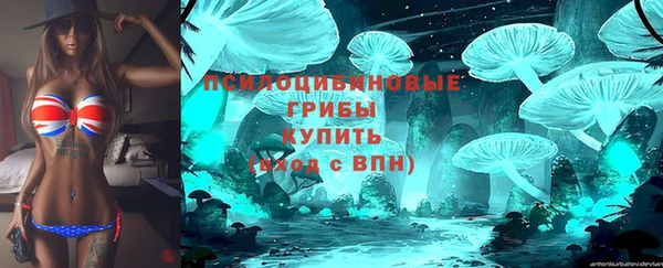круглые Алексин